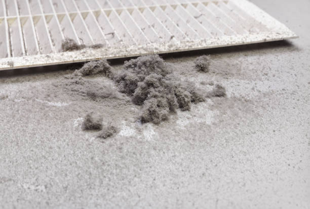 Best Dryer Vent Cleaning Services  in Richmond, VA