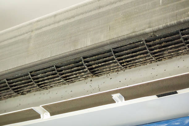 Best Duct Cleaning for Homes  in Richmond, VA